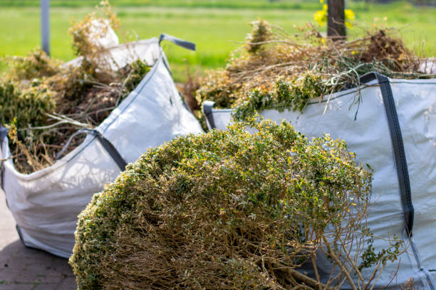 Best Attic Cleanout Services  in Weldon, CA